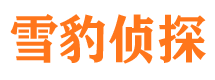 珙县市婚外情调查